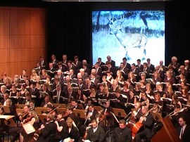 acg_jahreszeiten_ 7z